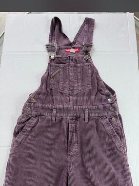 Vintage UNIONBAY Purple Corduroy Overalls